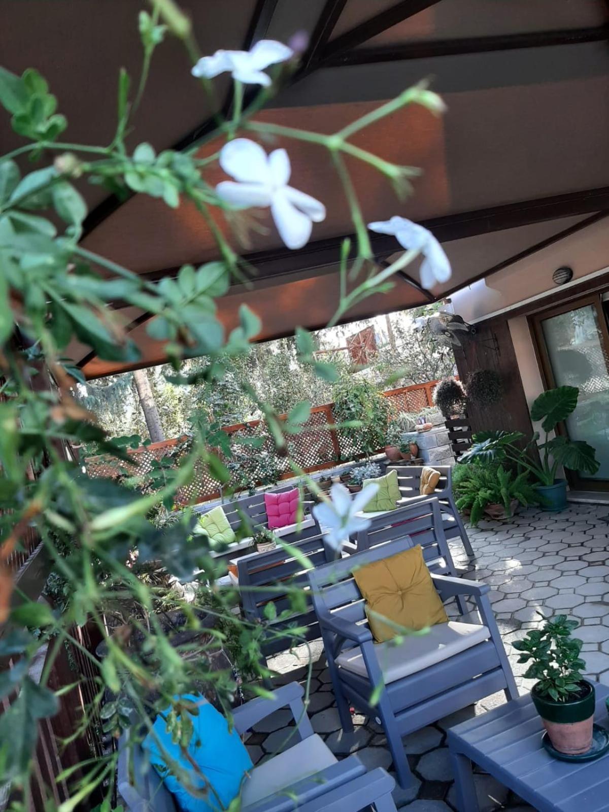 Denge Homes Nikosia Bagian luar foto